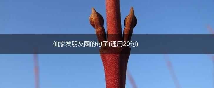 仙家发朋友圈的句子(通用20句),第1张