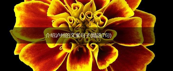 介绍泸州的文案句子(精选7句),第1张