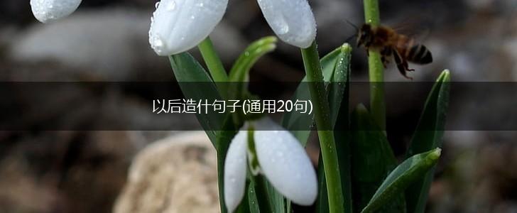 以后造什句子(通用20句),第1张