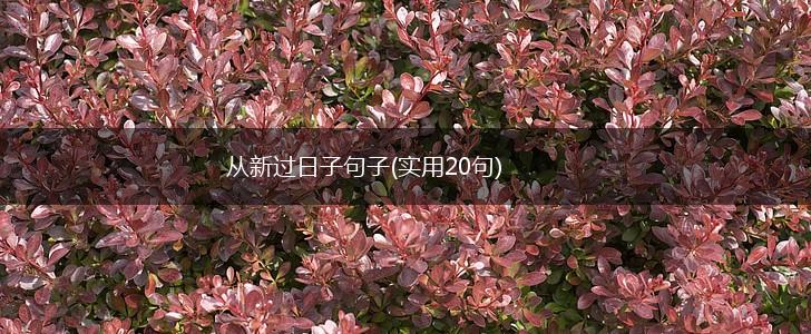 从新过日子句子(实用20句),第1张