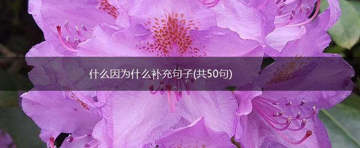什么因为什么补充句子(共50句),第1张