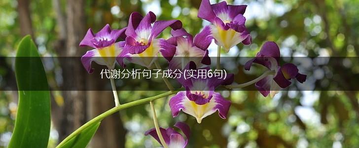 代谢分析句子成分(实用6句),第1张