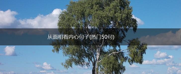 从面相看内心句子(热门50句),第1张