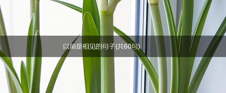 以前是相见的句子(共60句),第1张