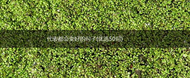 代表都会变好的句子(优选50句),第1张