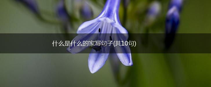 什么是什么的家写句子(共10句),第1张
