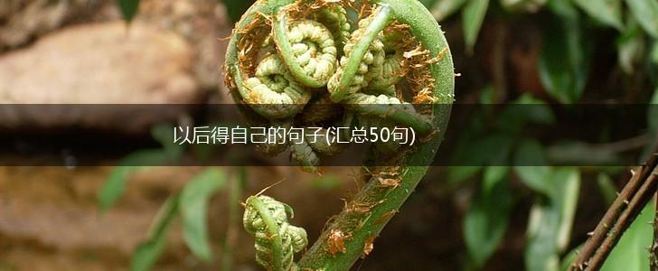 以后得自己的句子(汇总50句),第1张