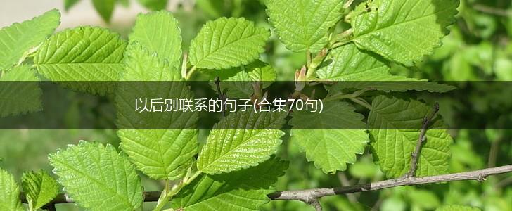 以后别联系的句子(合集70句),第1张