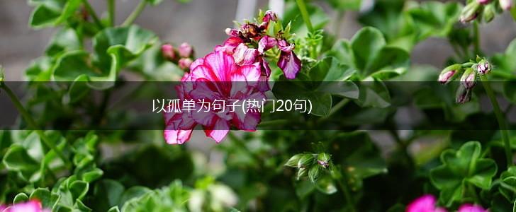 以孤单为句子(热门20句),第1张