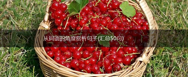 从词语的角度赏析句子(汇总50句),第1张
