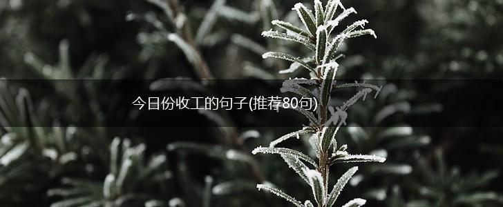 今日份收工的句子(推荐80句),第1张