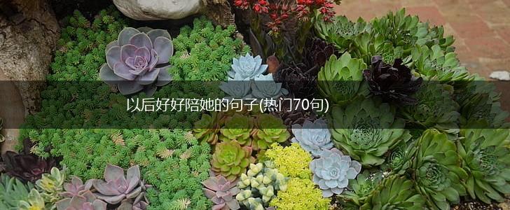 以后好好陪她的句子(热门70句),第1张