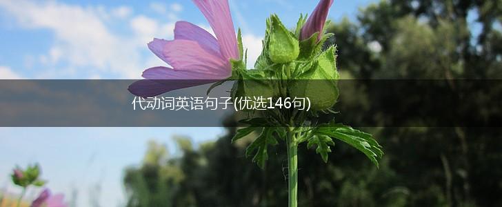代动词英语句子(优选146句),第1张