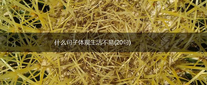 什么句子体现生活不易(20句),第1张