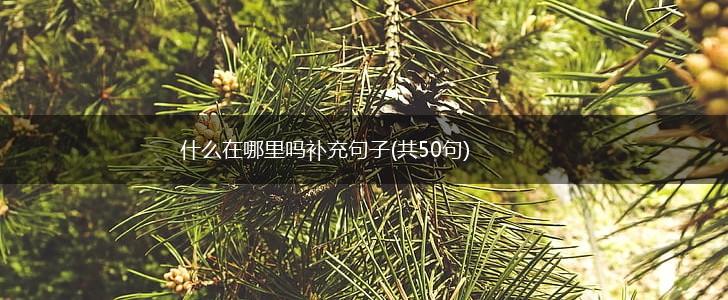 什么在哪里吗补充句子(共50句),第1张