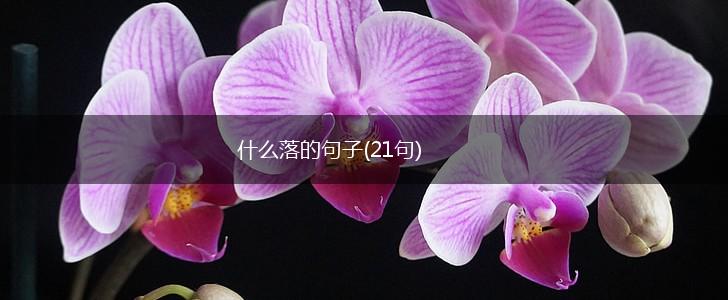 什么落的句子(21句),第1张
