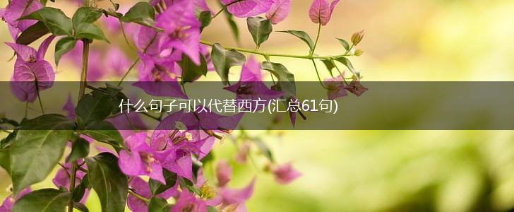 什么句子可以代替西方(汇总61句),第1张