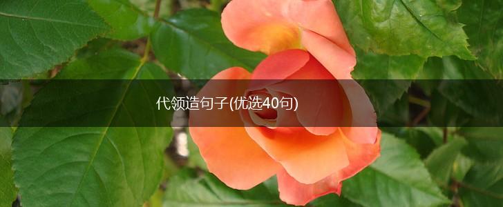 代领造句子(优选40句),第1张