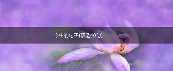 今生的句子(精选40句),第1张