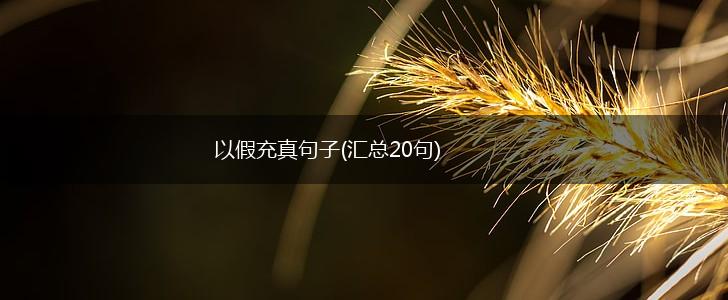 以假充真句子(汇总20句),第1张