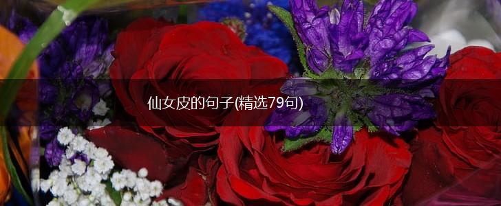 仙女皮的句子(精选79句),第1张