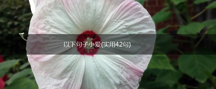 以下句子小爱(实用42句),第1张