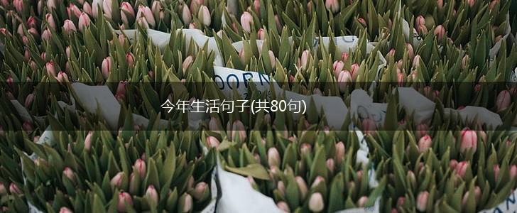 今年生活句子(共80句),第1张