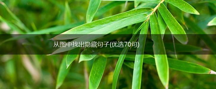 从图中找出隐藏句子(优选70句),第1张