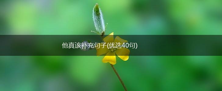 他真该补充句子(优选40句),第1张