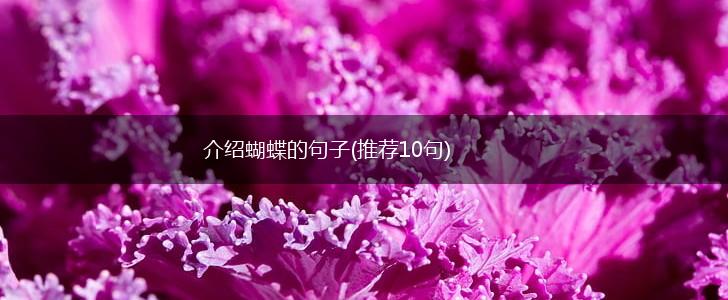 介绍蝴蝶的句子(推荐10句),第1张