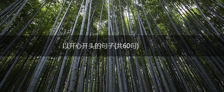 以开心开头的句子(共60句),第1张
