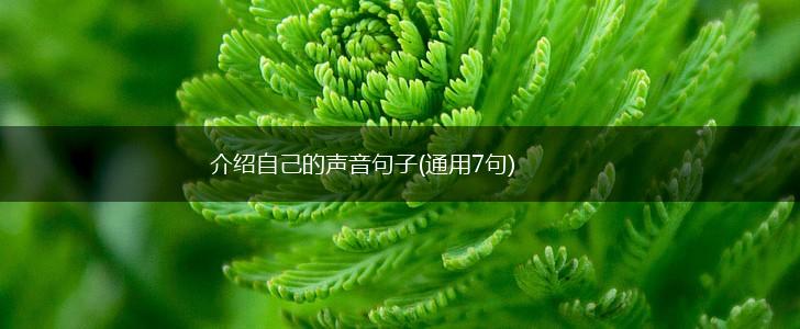 介绍自己的声音句子(通用7句),第1张