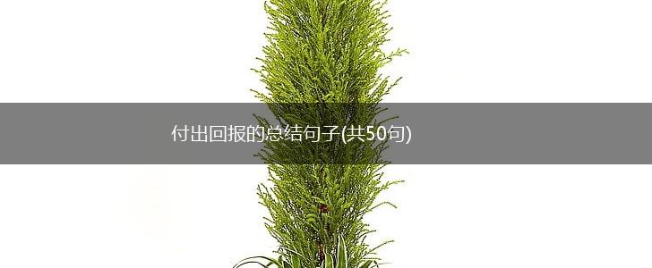 付出回报的总结句子(共50句),第1张