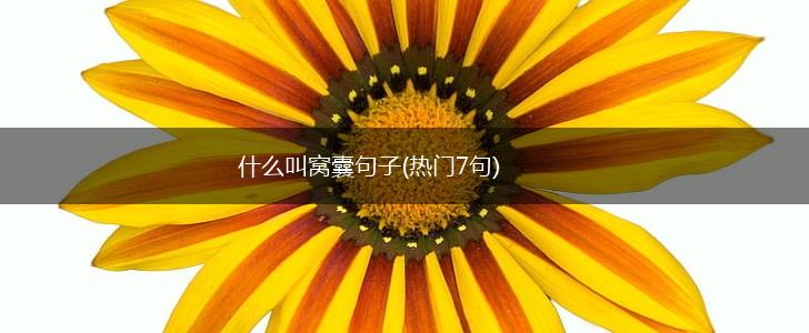 什么叫窝囊句子(热门7句),第1张