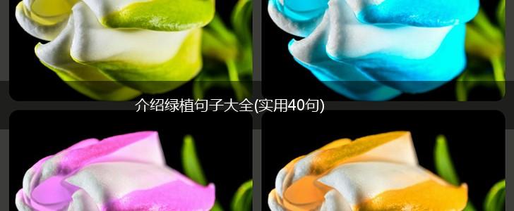 介绍绿植句子大全(实用40句),第1张