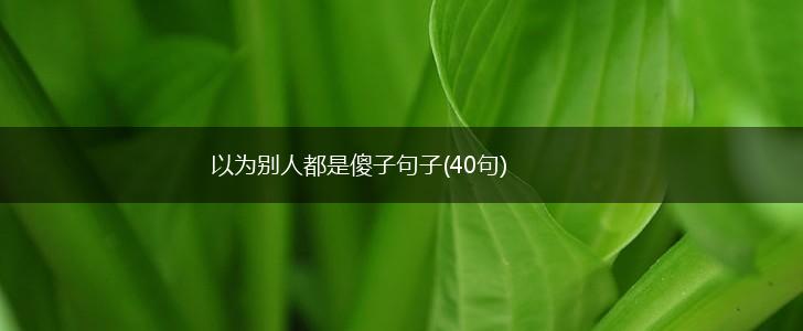 以为别人都是傻子句子(40句),第1张