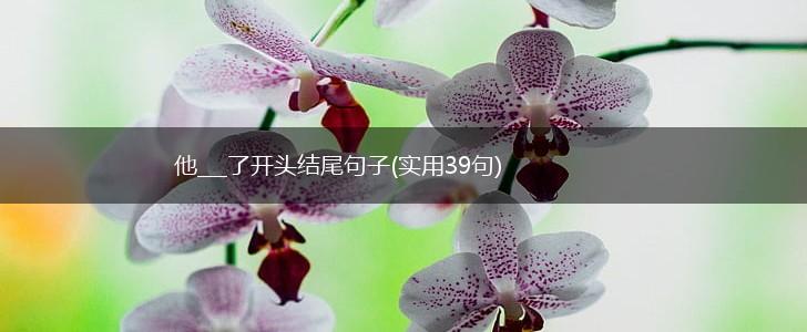 他___了开头结尾句子(实用39句),第1张
