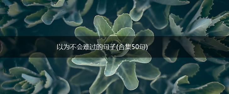 以为不会难过的句子(合集50句),第1张