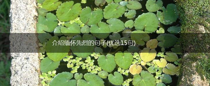 介绍缅怀先烈的句子(优选15句),第1张