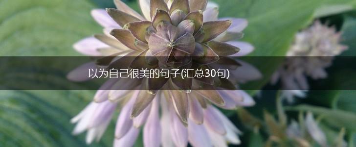 以为自己很美的句子(汇总30句),第1张