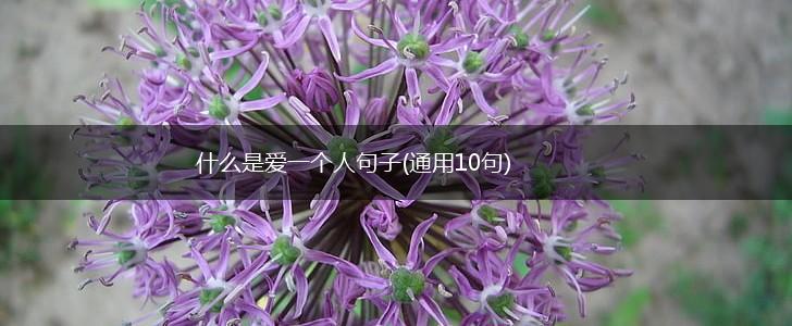 什么是爱一个人句子(通用10句),第1张