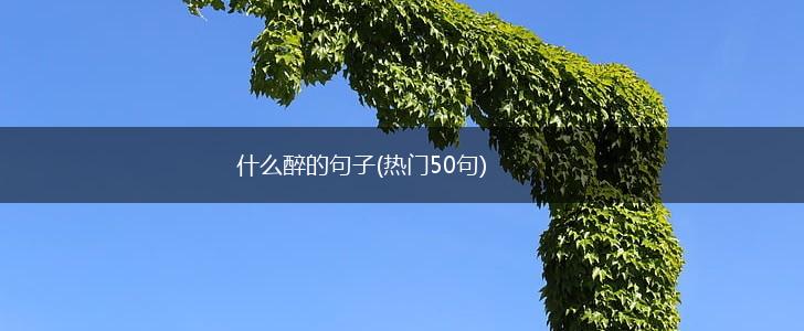什么醉的句子(热门50句),第1张