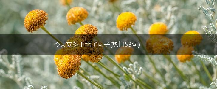 今天立冬下雪了句子(热门53句),第1张