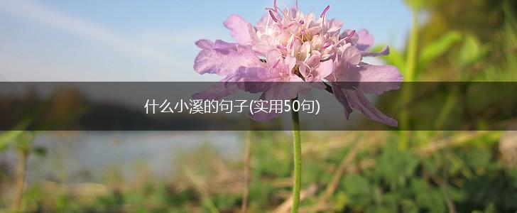 什么小溪的句子(实用50句),第1张