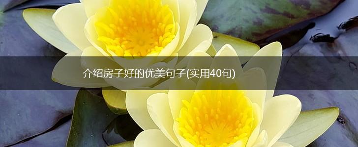 介绍房子好的优美句子(实用40句),第1张