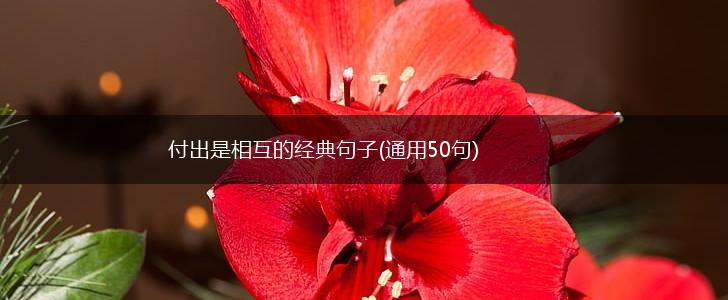 付出是相互的经典句子(通用50句),第1张
