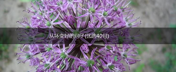 从坏变好的句子(优选40句),第1张