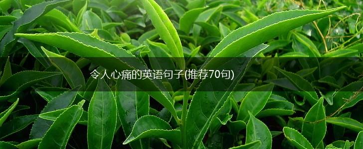 令人心痛的英语句子(推荐70句),第1张