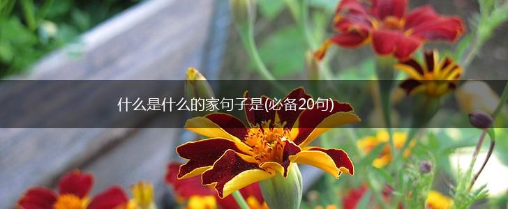 什么是什么的家句子是(必备20句),第1张