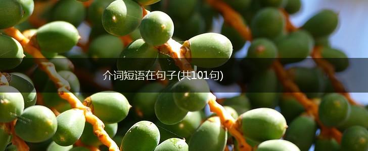 介词短语在句子(共101句),第1张